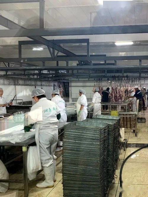 藏了1年的神秘肉店终于被挖出来了 从锡盟来的牛羊肉,刷新本地牛羊肉榜